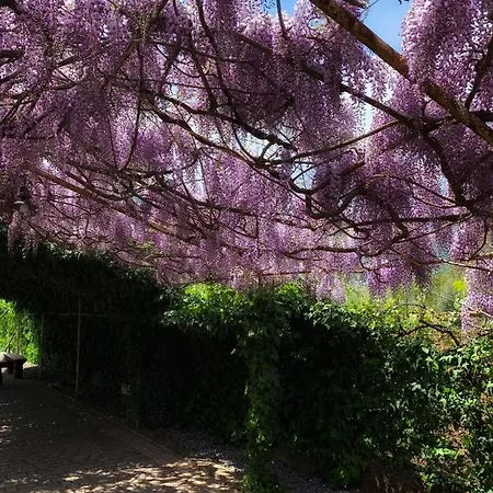 Bed & Breakfast La Brezza Del Pollino 3*