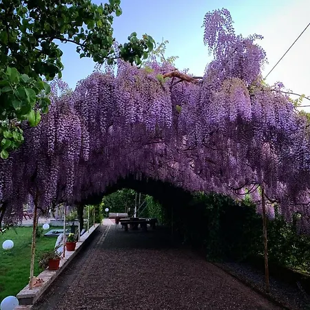 La Brezza Del Pollino 3* Morano Calabro