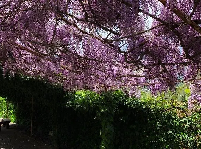 Nocleg ze śniadaniem La Brezza Del Pollino 3*