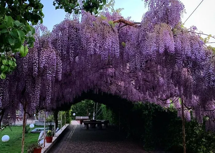 La Brezza Del Pollino 3* Morano Calabro