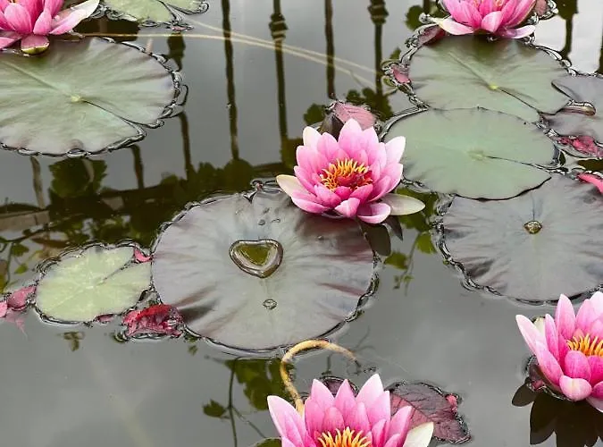 La Brezza Del Pollino Bed & Breakfast